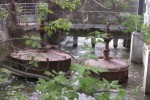 turbines-300x199